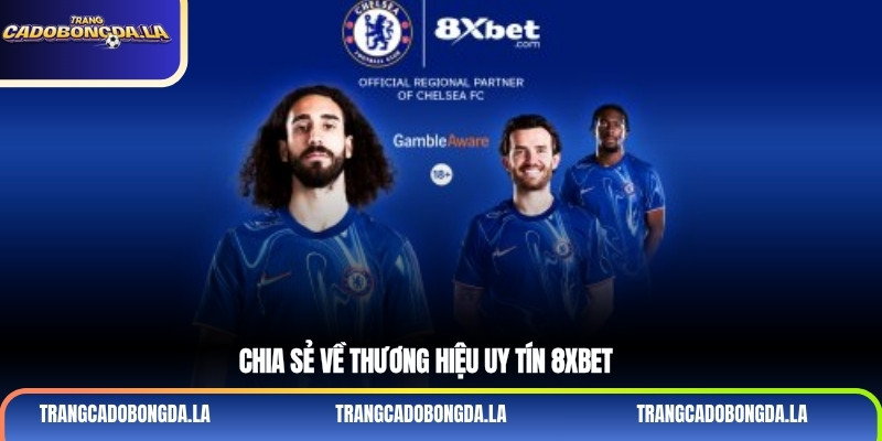Chia sẻ về thương hiệu uy tín 8xbet