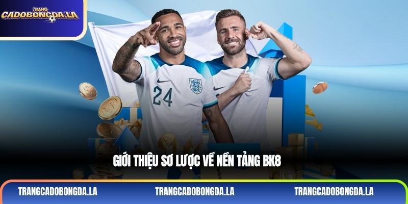Giới thiệu sơ lược về nền tảng BK8