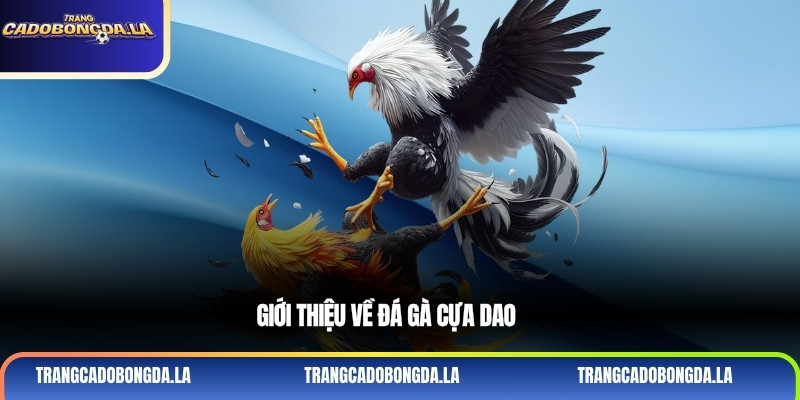 Giới thiệu về đá gà cựa dao
