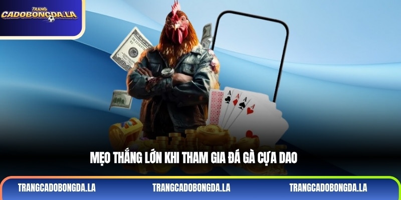 Mẹo thắng lớn khi tham gia đá gà cựa dao