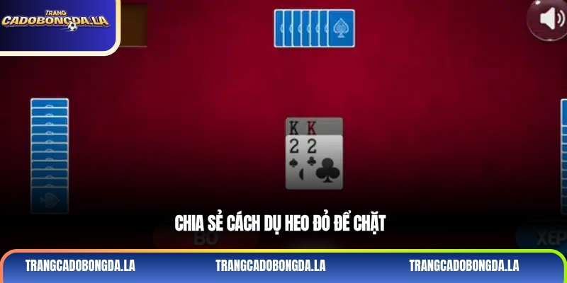 Chia sẻ cách dụ heo đỏ để chặt