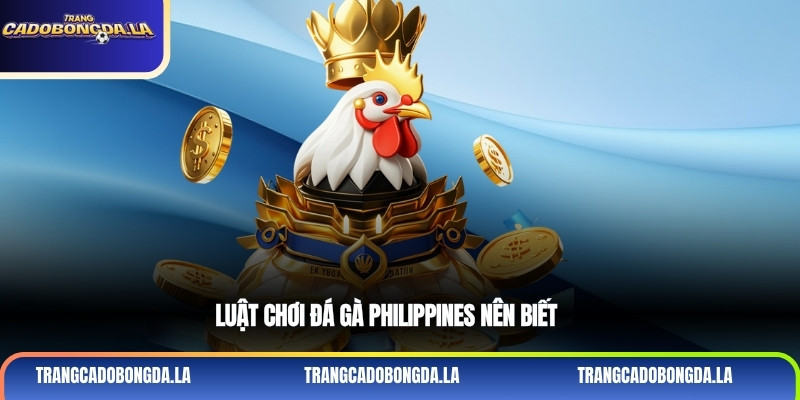 Luật chơi đá gà Philippines nên biết