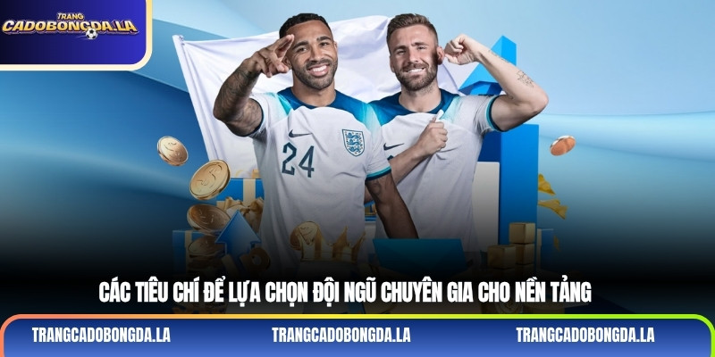 Các tiêu chí để lựa chọn đội ngũ chuyên gia cho nền tảng