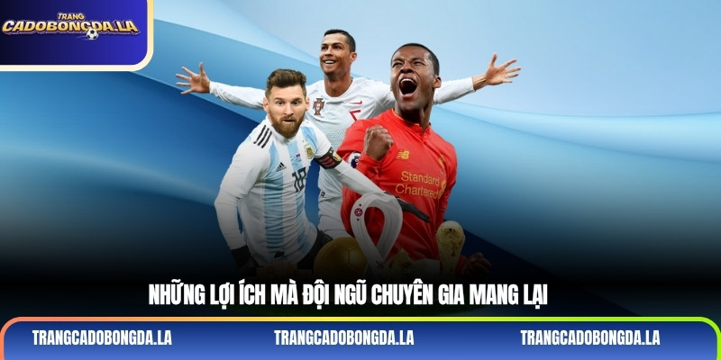 Những lợi ích mà đội ngũ chuyên gia mang lại