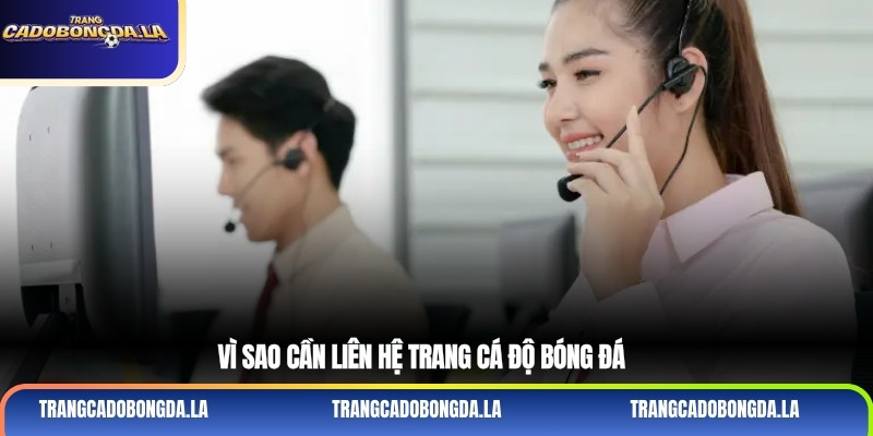 Vì sao cần liên hệ trang cá độ bóng đá