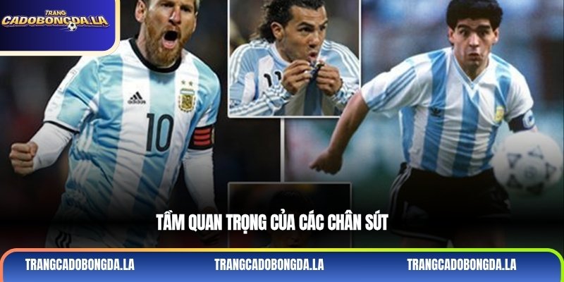 Tầm quan trọng của các chân sút