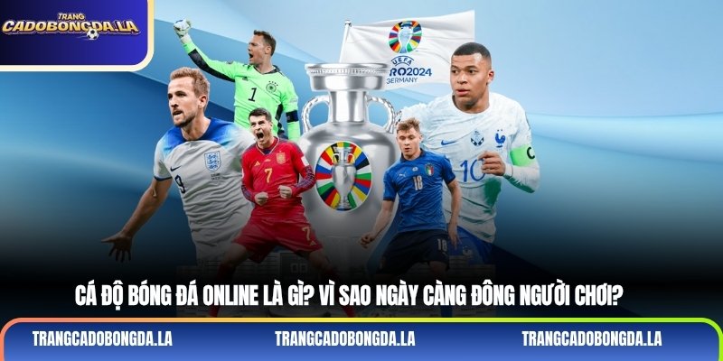 Cá độ bóng đá online là gì? Vì sao ngày càng đông người chơi?