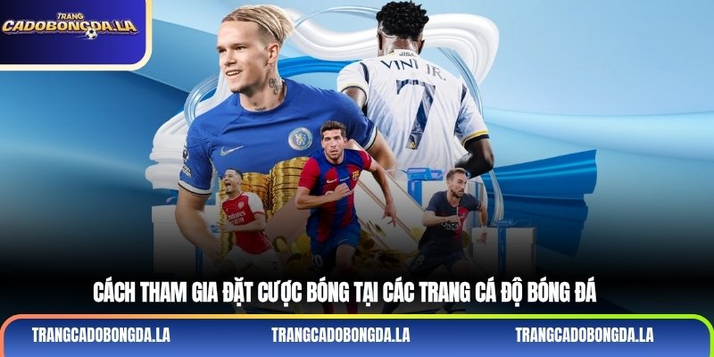 Cách tham gia đặt cược bóng tại các Trang cá độ bóng đá